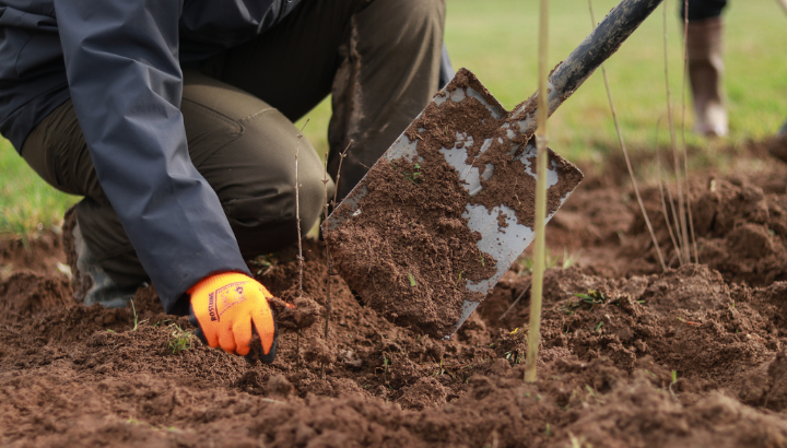 Chantier de démontage du dispositif printanier de sauvetage routier des amphibiens à Mathay